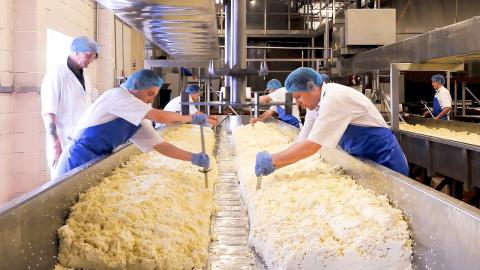 Amazing Process of Making CHEESE You Have Never Seen Before