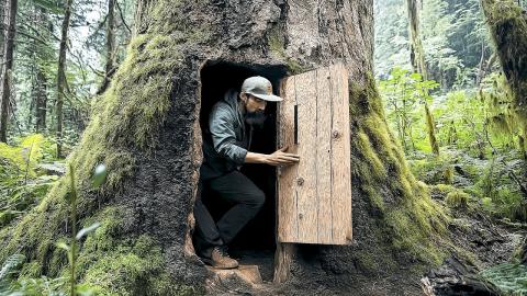 Man Builds Secret Shelter Inside the Tree | Start to Finish by @Wildbuilding98