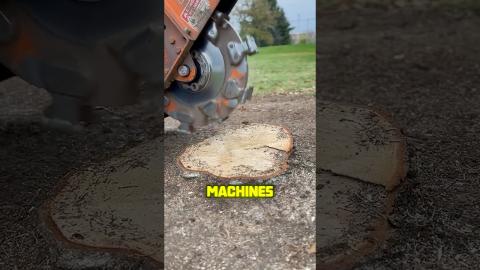 This Machine Is Best For Grinding Stumps ????????#youtubeshorts #youtube