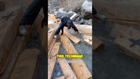 Why Are They Throwing Wood In The Water????????#woodworking #youtubeshorts #youtube