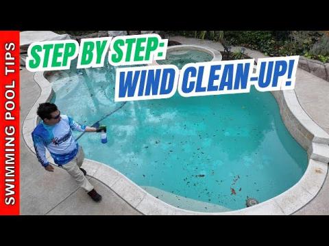 Pool Clean-Up After a Wind Storm: Step by Step Video!