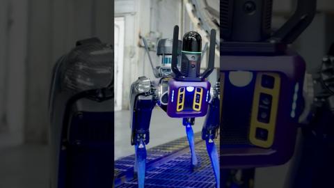 Spot the Difference | Boston Dynamics