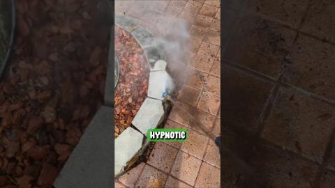 Satisfying Process Of Pressure Washing ???????????? #new #tech #technology #shorts #trending #youtub