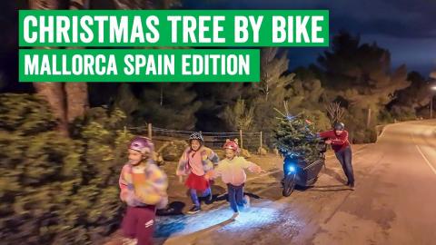 Christmas Tree Bike vs 17% Hill