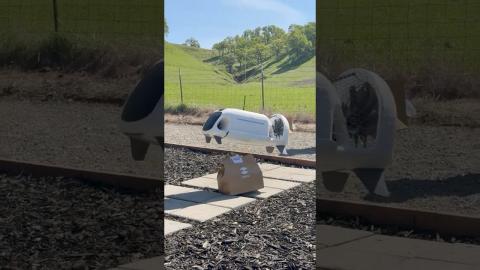 A DRONE Delivers Lunch